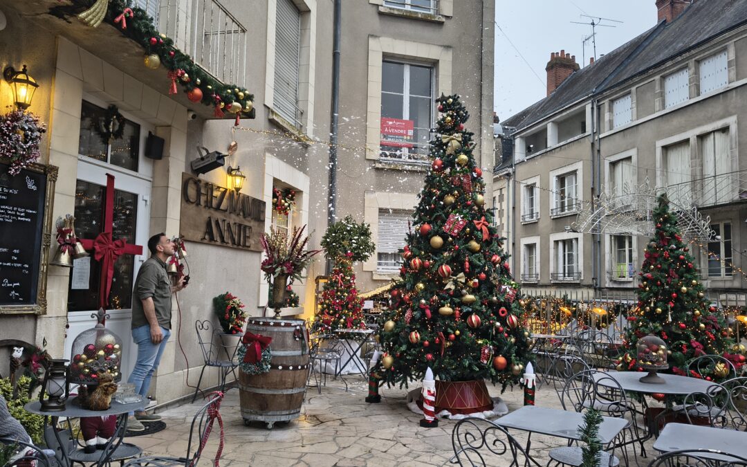 À Blois, les vitrines de Noël rallument la flamme du centre ville